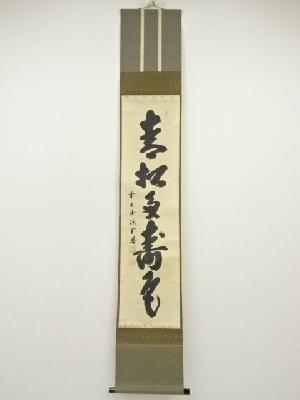 前大徳　藤井誡堂筆　「青松寿色多」一行書　肉筆紙本掛軸（共箱）